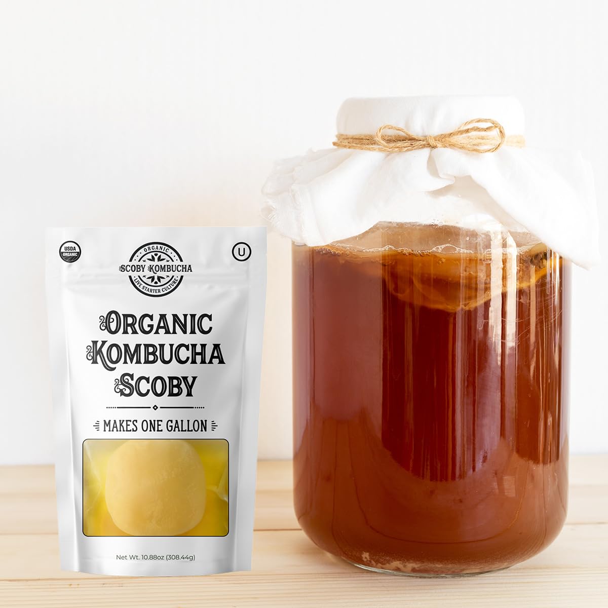 Scoby Kombucha textura cercana de la pellicula mostrando cultivos activos y salud