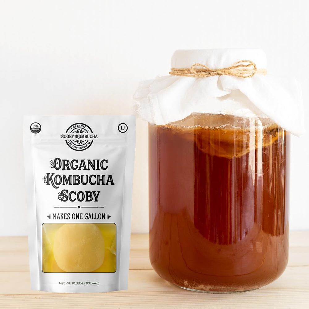 Scoby Kombucha textura cercana de la pellicula mostrando cultivos activos y salud