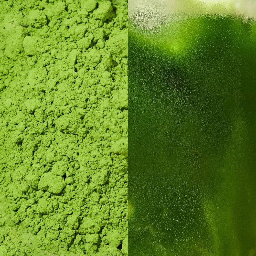 Sencha Naturals bol con cucharita que indica porciones precisas