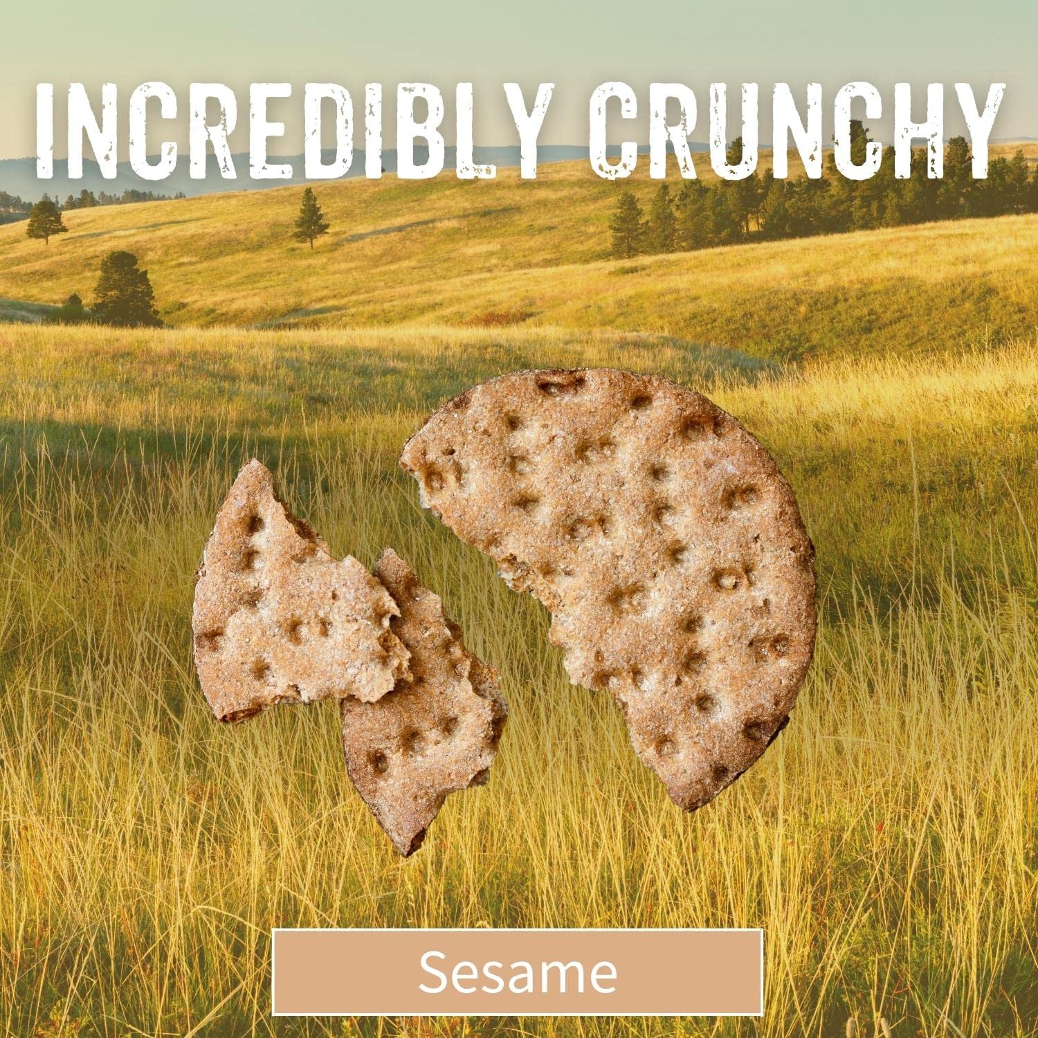 Sesmark galletas en uso con dip de hummus, ideales para picoteo saludable