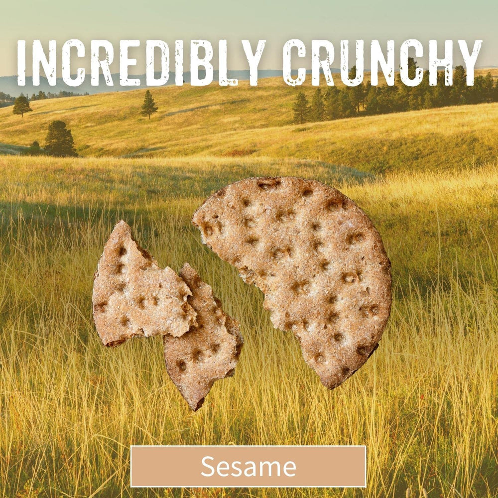 Sesmark galletas en uso con dip de hummus, ideales para picoteo saludable