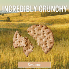 Sesmark galletas en uso con dip de hummus, ideales para picoteo saludable