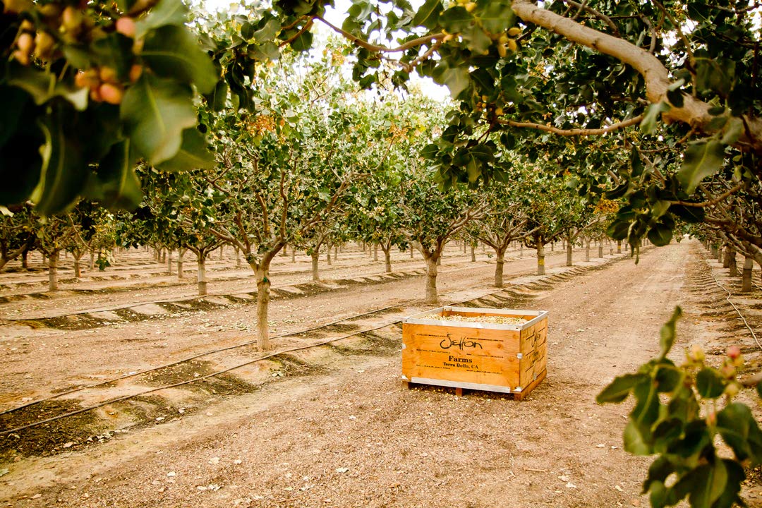 Setton Farms etiqueta con certificaciones Non-GMO y gluten free, confianza