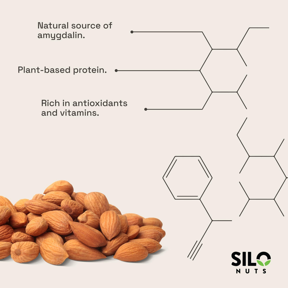 SILO NUTS semillas en cuenco listas para cocinar con sabor auténtico