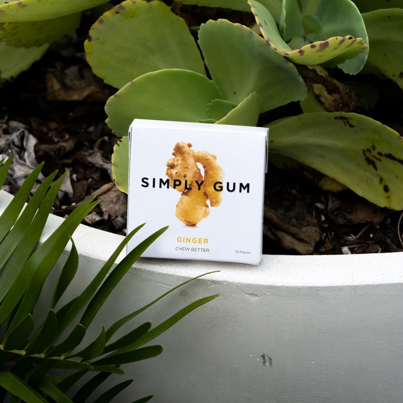 Mano sosteniendo una pastilla de SIMPLY Gum para mostrar tamaño y portabilidad