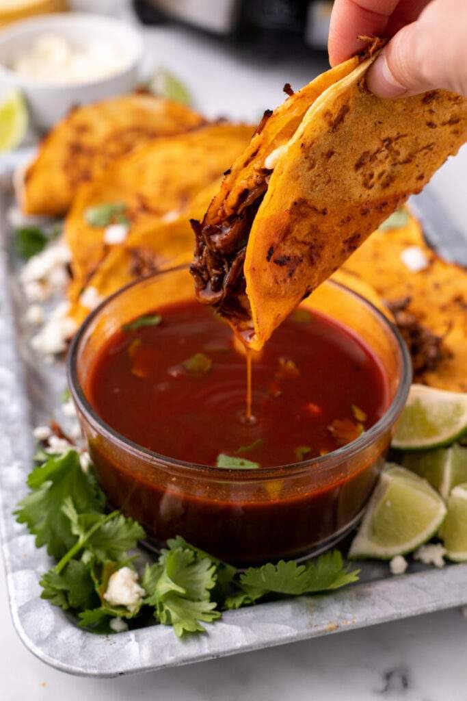 SPICE GIANT etiqueta de ingredientes, indica sin gluten ni MSG