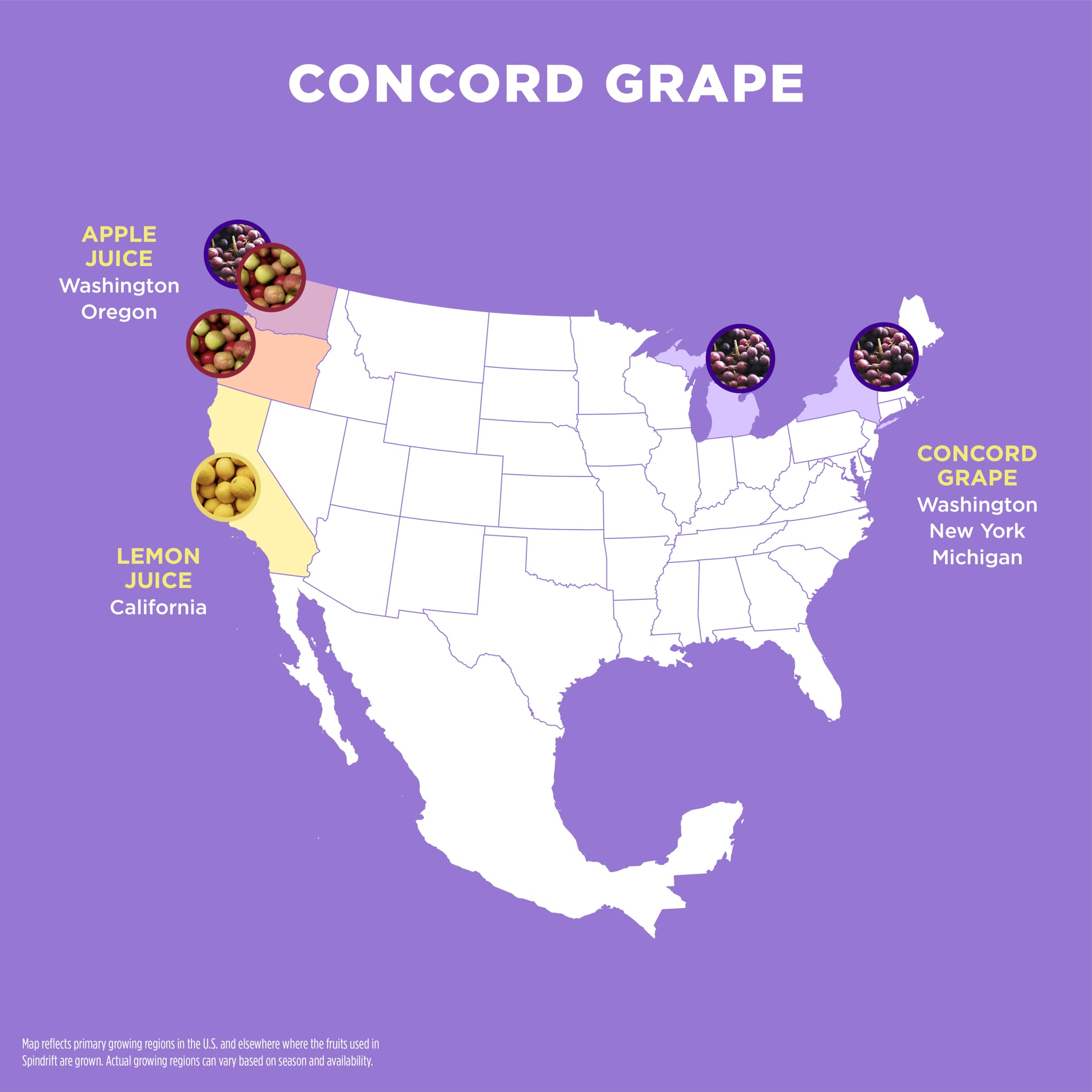 Spindrift uvas Concord frescas que destacan sabor natural