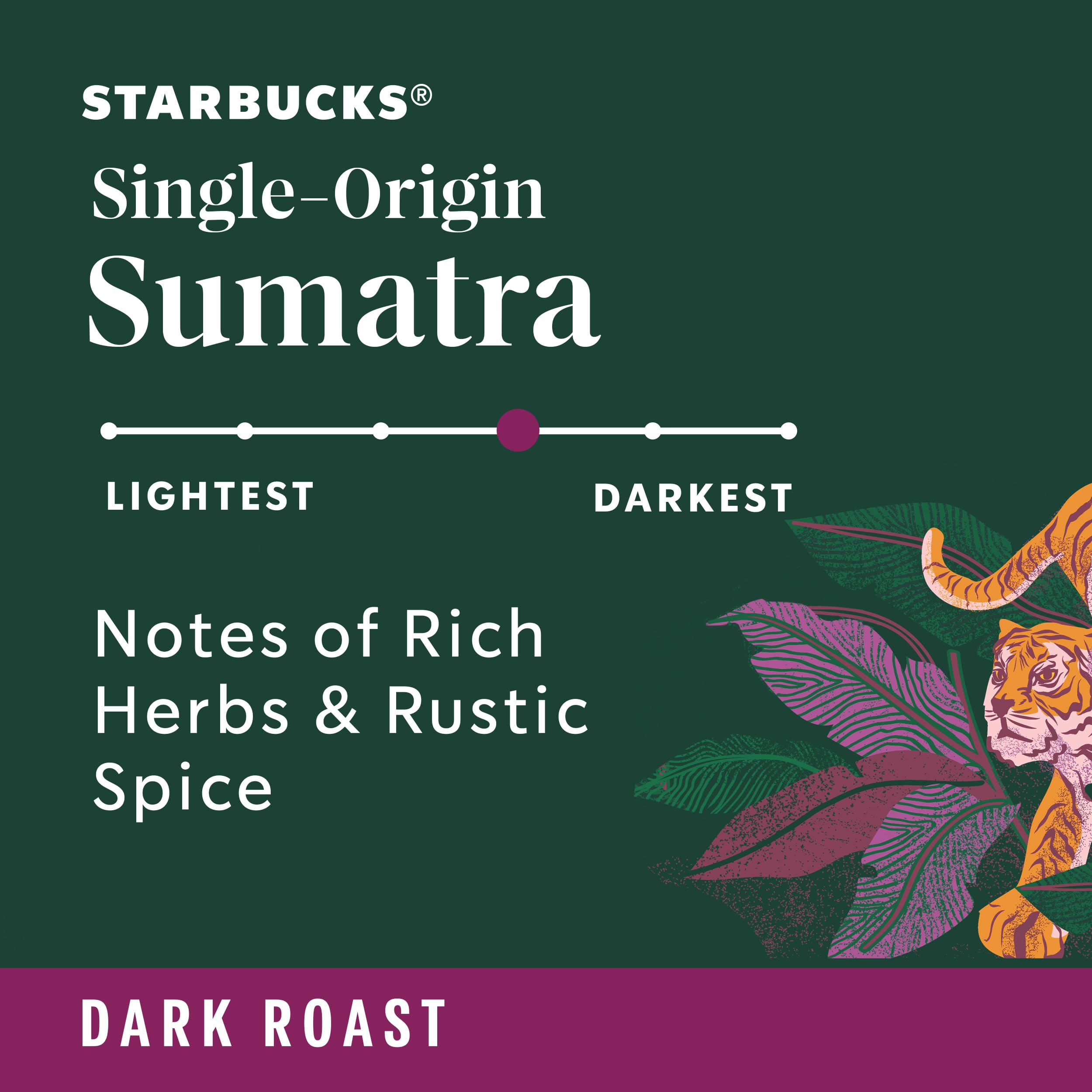 Starbucks Sumatra vaso con hielo preparado como bebida fría