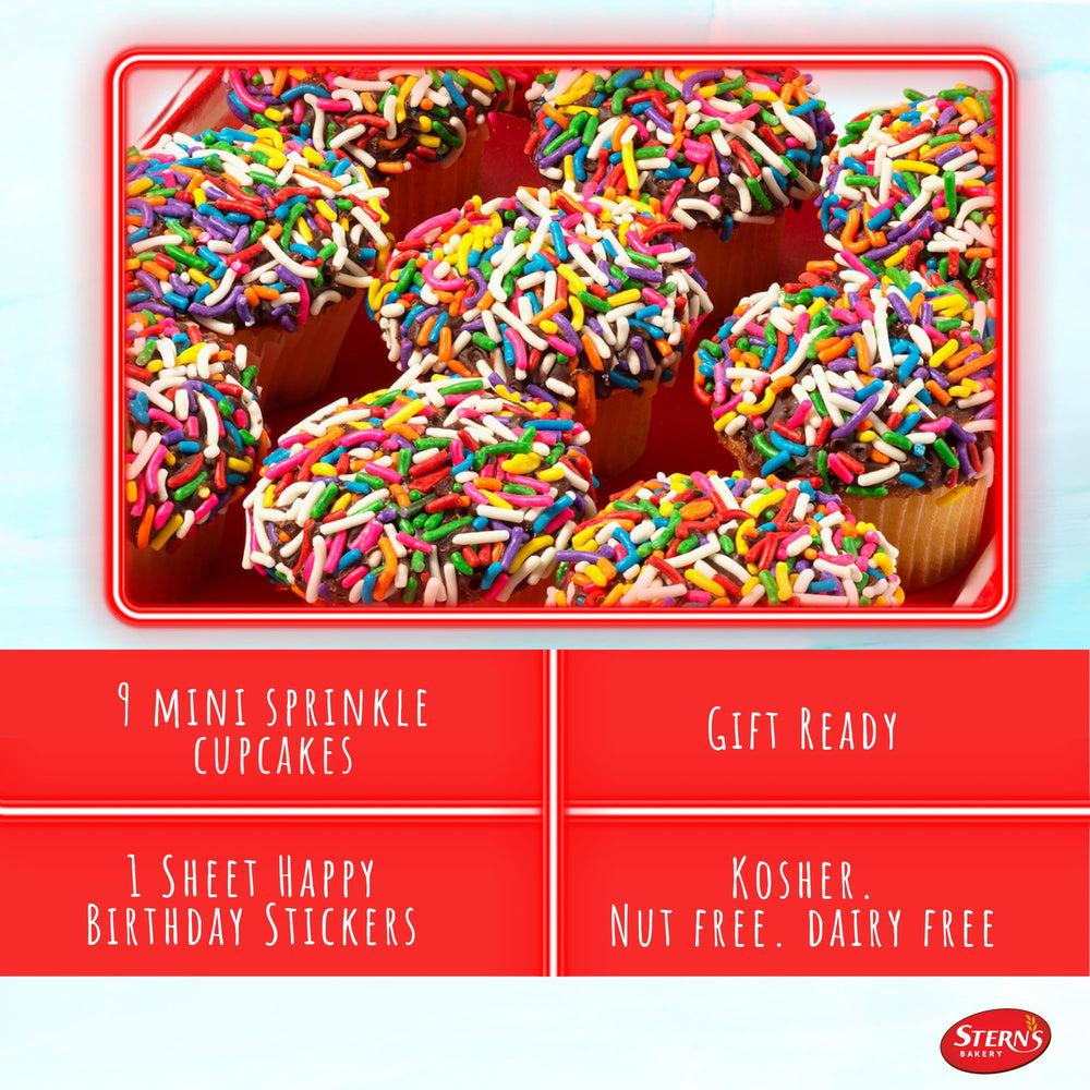 Stern's Bakery cupcake en primer plano mostrando cobertura y sprinkles, sabor visible