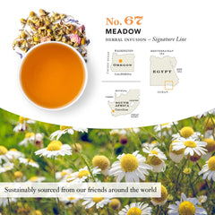STEVEN SMITH TEAMAKER bolsita infusionándose en taza para una taza reconfortante