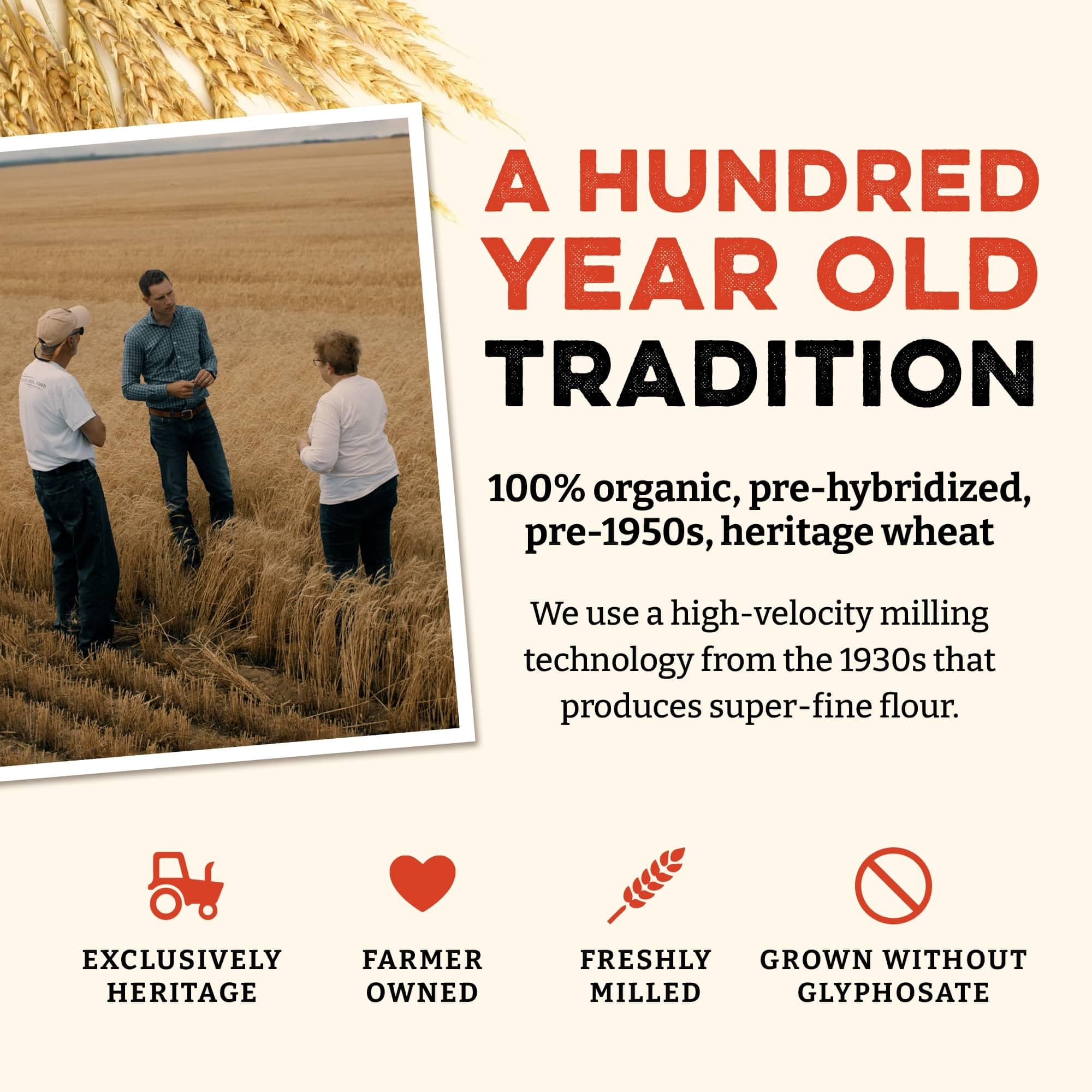 Sunrise Flour Mill etiqueta orgánica y trigo heritage, garantía sin aditivos