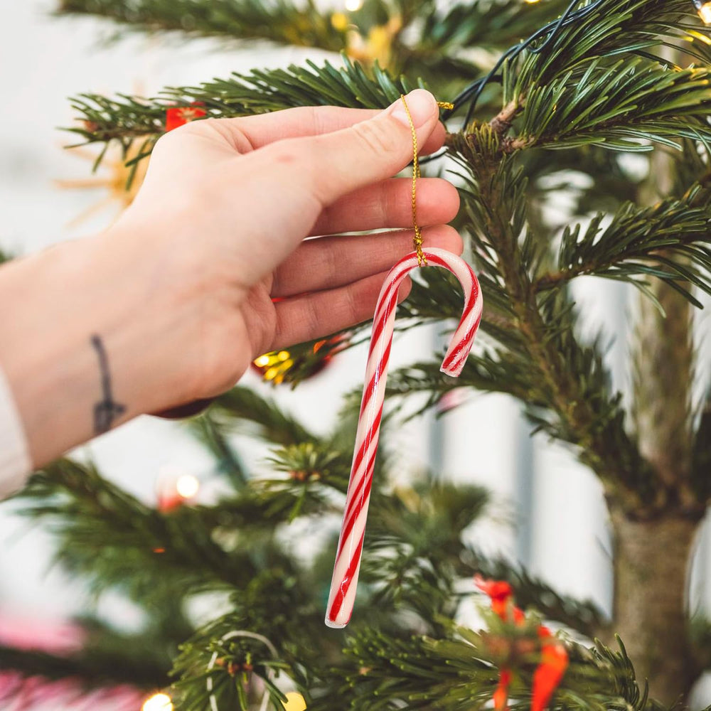 Taboom bastones colocados en medias navideñas listos para regalar y sorprender