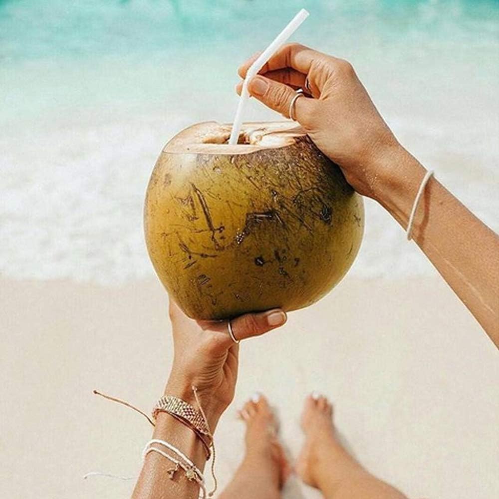 Taste Nirvana varias botellas en el refrigerador listas para beber