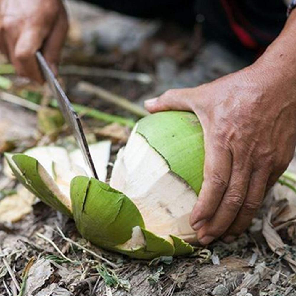 Taste Nirvana primer plano de pulpa natural mostrando textura auténtica y frescura