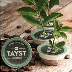 Tayst Coffee Roaster cápsula en mano para ver tamaño y uso fácil