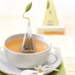 Tea Forte caja abierta con guía de degustación incluida y ordenada