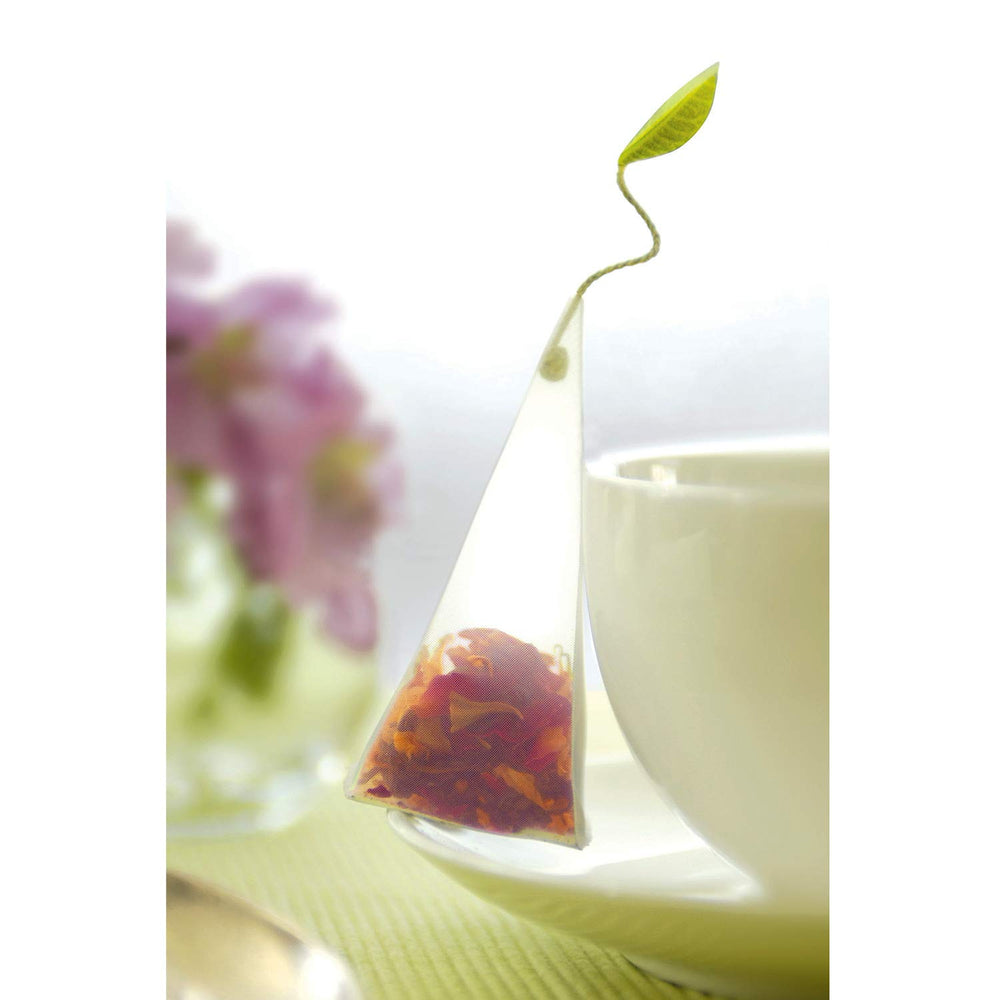 Tea Forte guía de degustación interior, instrucciones y recomendaciones claras