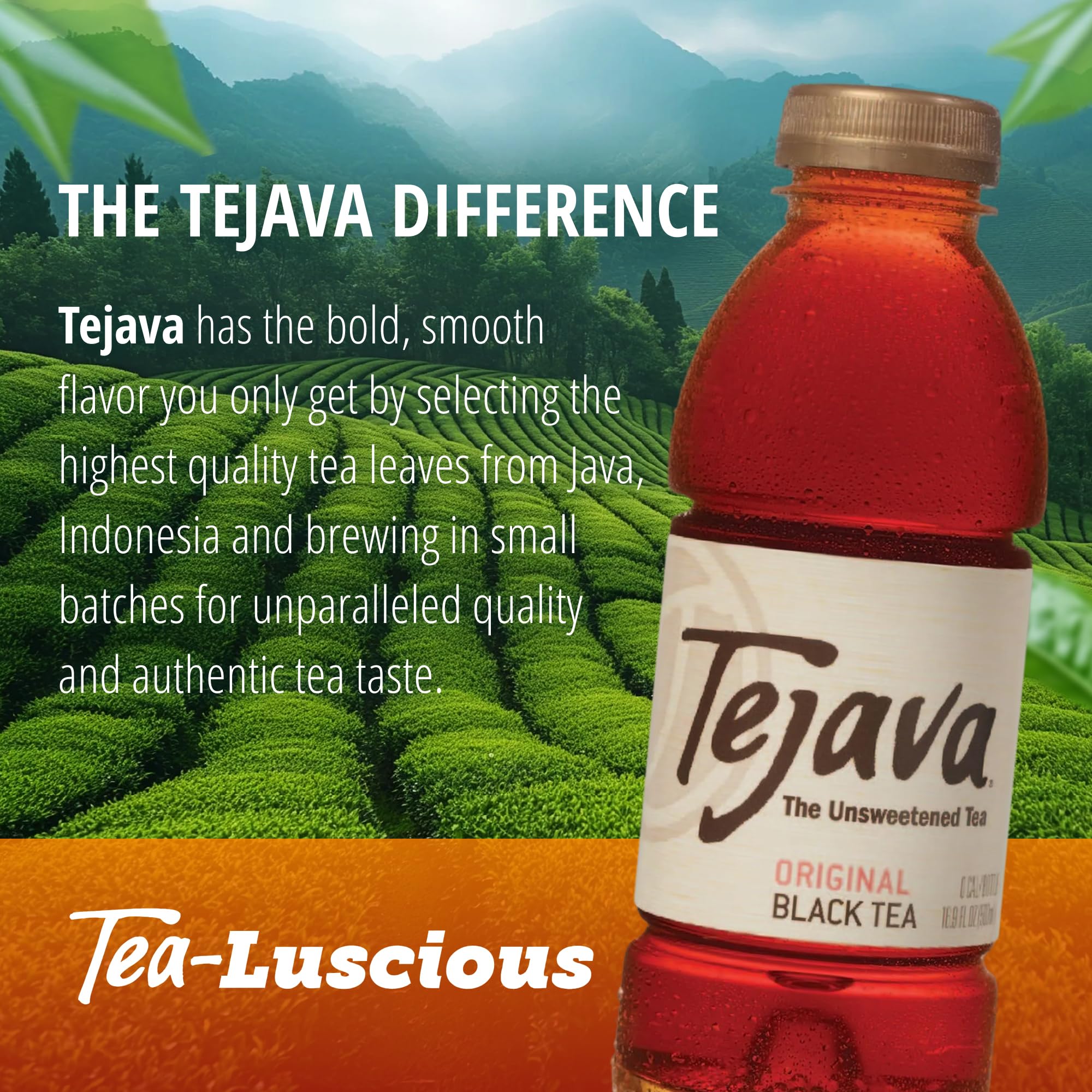 Tejava junto a sandwich ilustrando maridaje y opción baja en calorías
