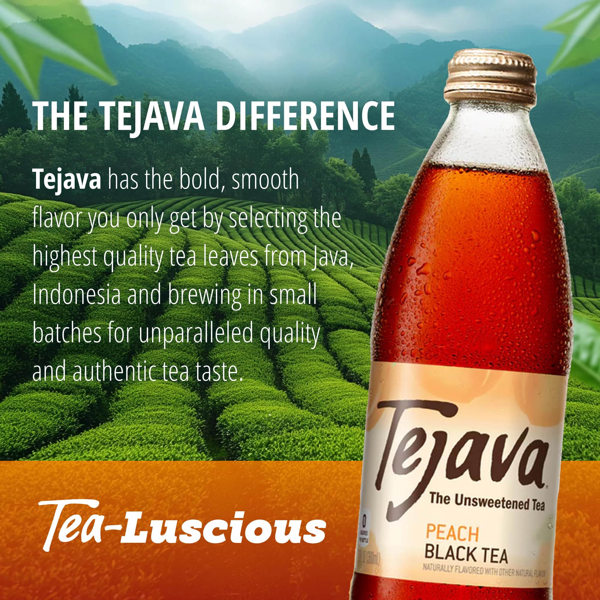 Tejava en oficina y nevera compartida ideal para reuniones