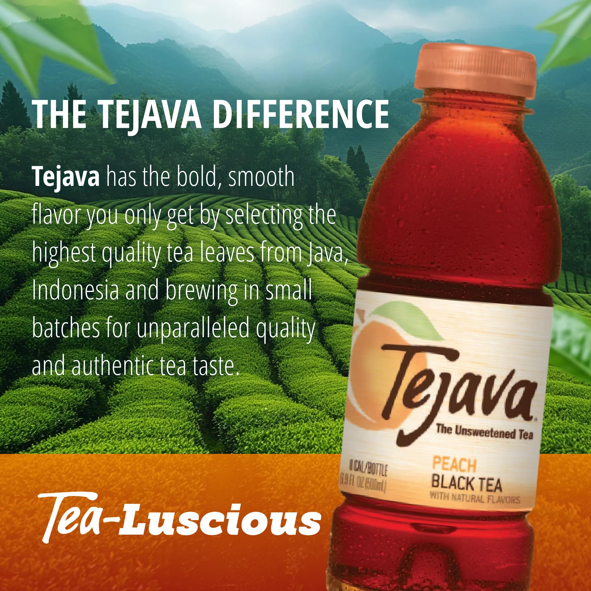 Tejava botella en picnic, alternativa refrescante y baja en calorías