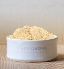 Terrasoul Superfoods polvo en una taza de té listo para infusionar y dar sabor