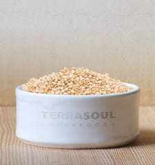 Terrasoul Superfoods quinua cocida en bowl como guarnición nutritiva lista