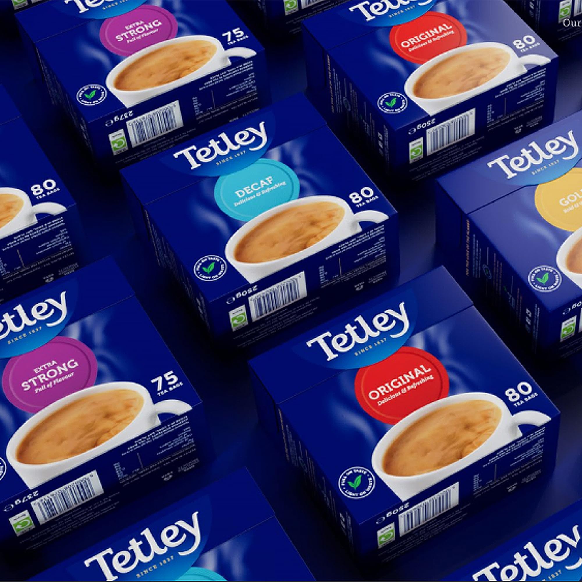 Tetley bolsita junto a regla para escala, Tetley tamaño práctico