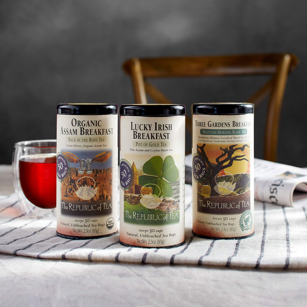 The Republic of Tea bolsita en mano para comparar tamaño y facilidad de preparación