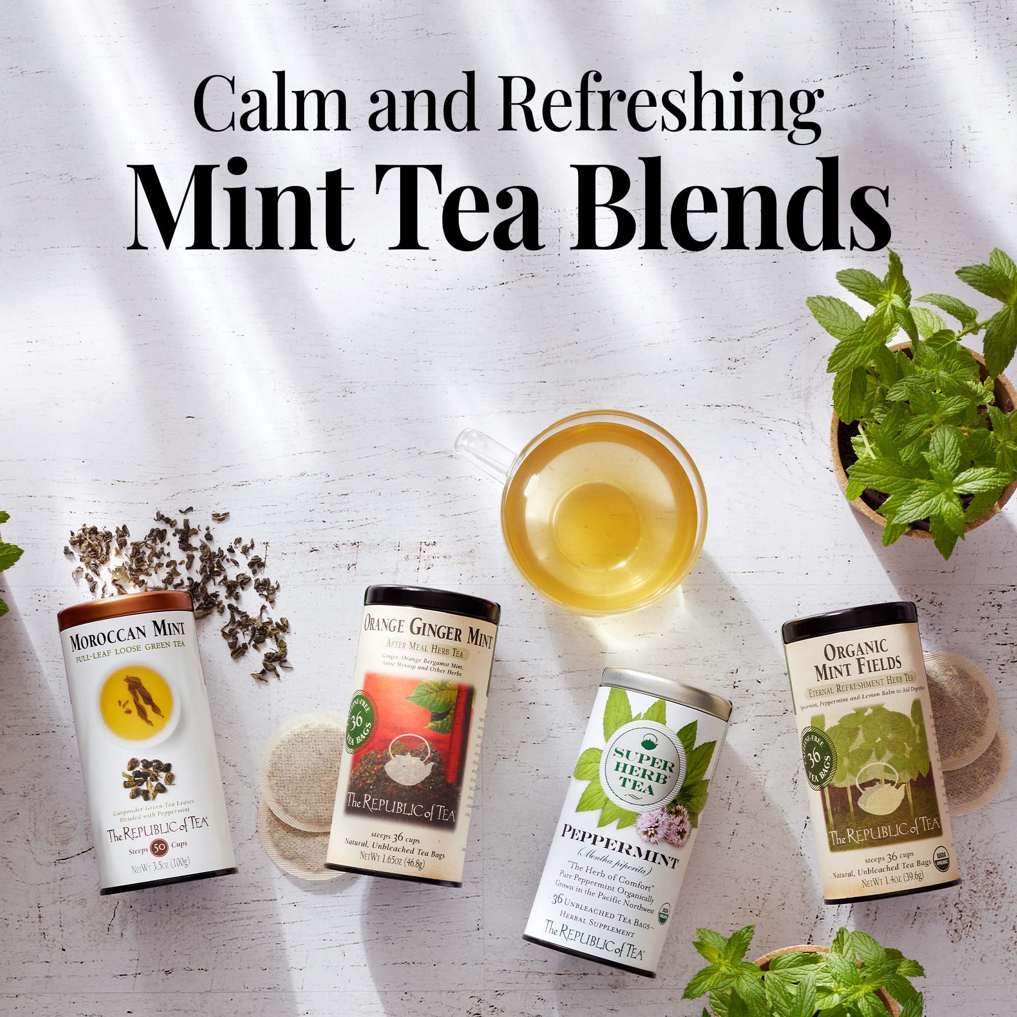 The Republic of Tea etiqueta con certificaciones sin gluten y Non-GMO