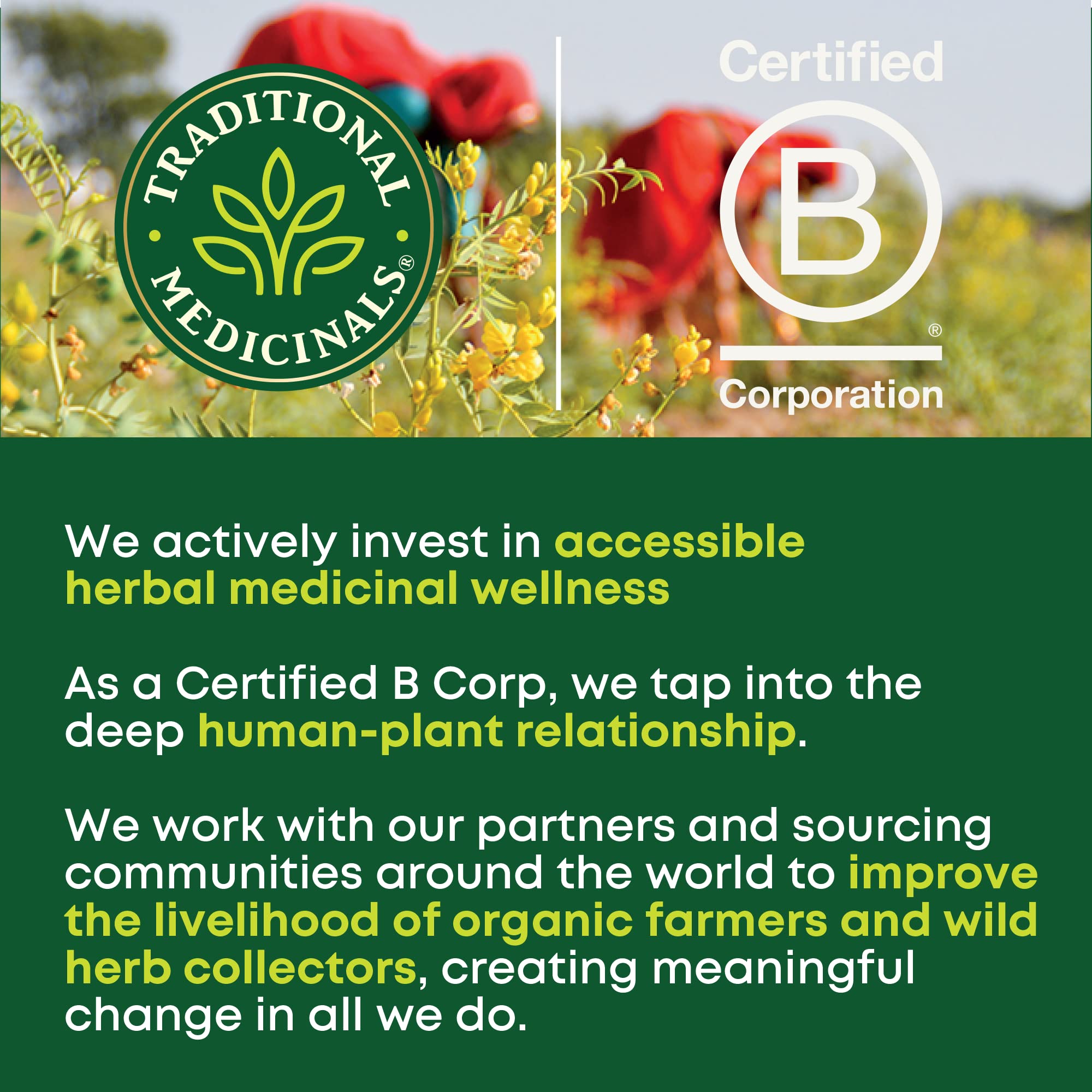 Traditional Medicinals bolsitas compostables en primer plano resaltando impacto ambiental reducido