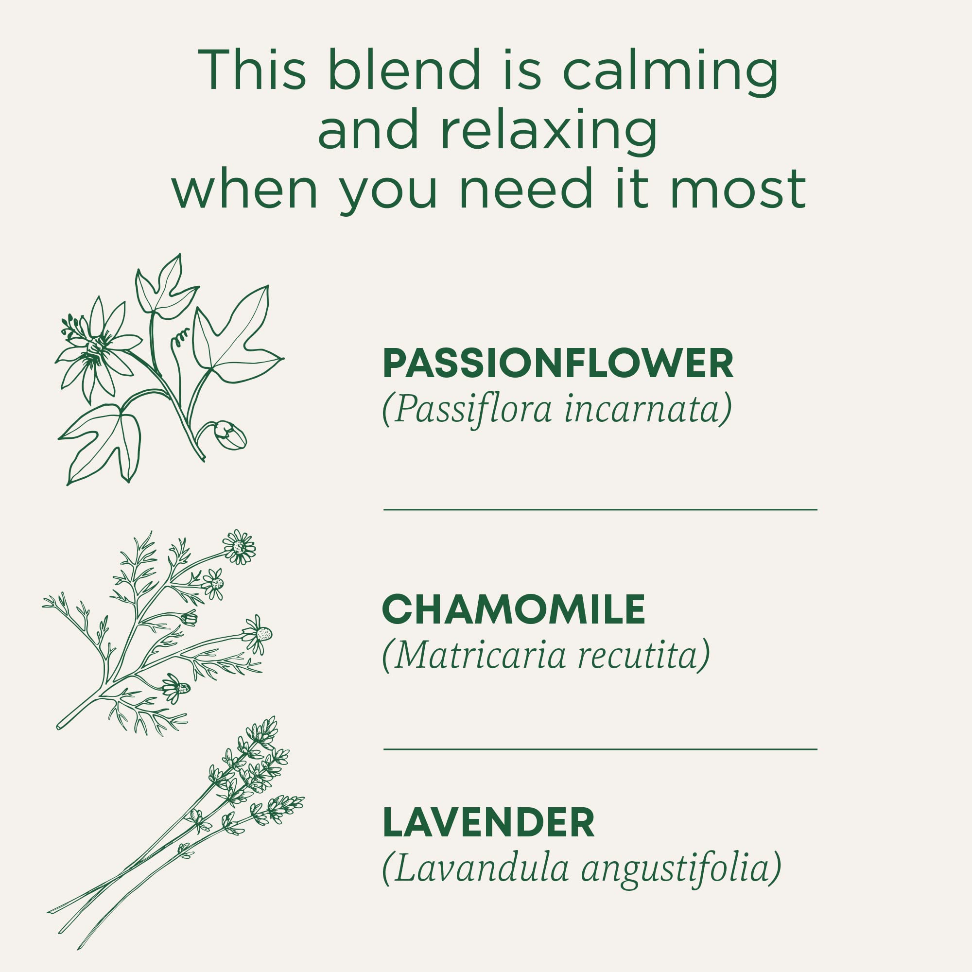 Traditional Medicinals pila de hierbas secas (manzanilla, lavanda, menta) que ilustra ingredientes