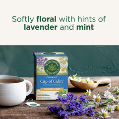 Traditional Medicinals taza en mano con vapor, transmitiendo relax y sabor suave