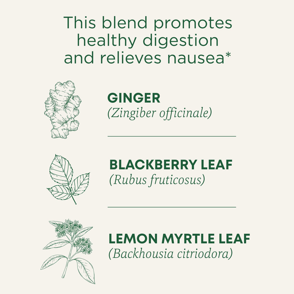 Traditional Medicinals trozos de jengibre y textura resaltando sabor cálido