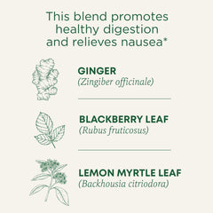 Traditional Medicinals trozos de jengibre y textura resaltando sabor cálido