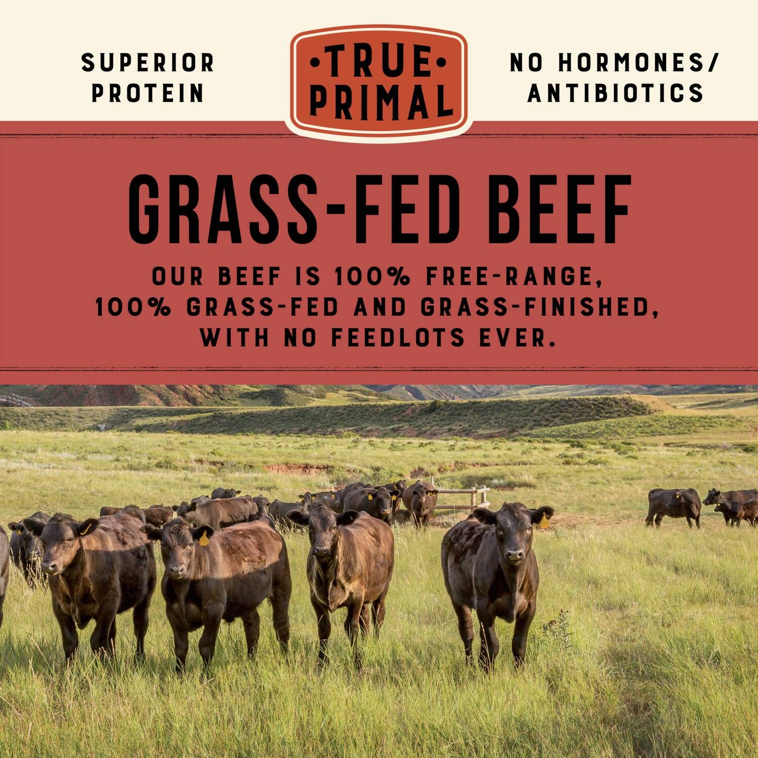 True Primal porción abierta mostrando la carne y verduras, fácil de calentar