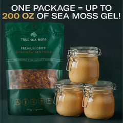 TrueSeaMoss sea moss en licuadora preparando gel, uso sencillo en cocina