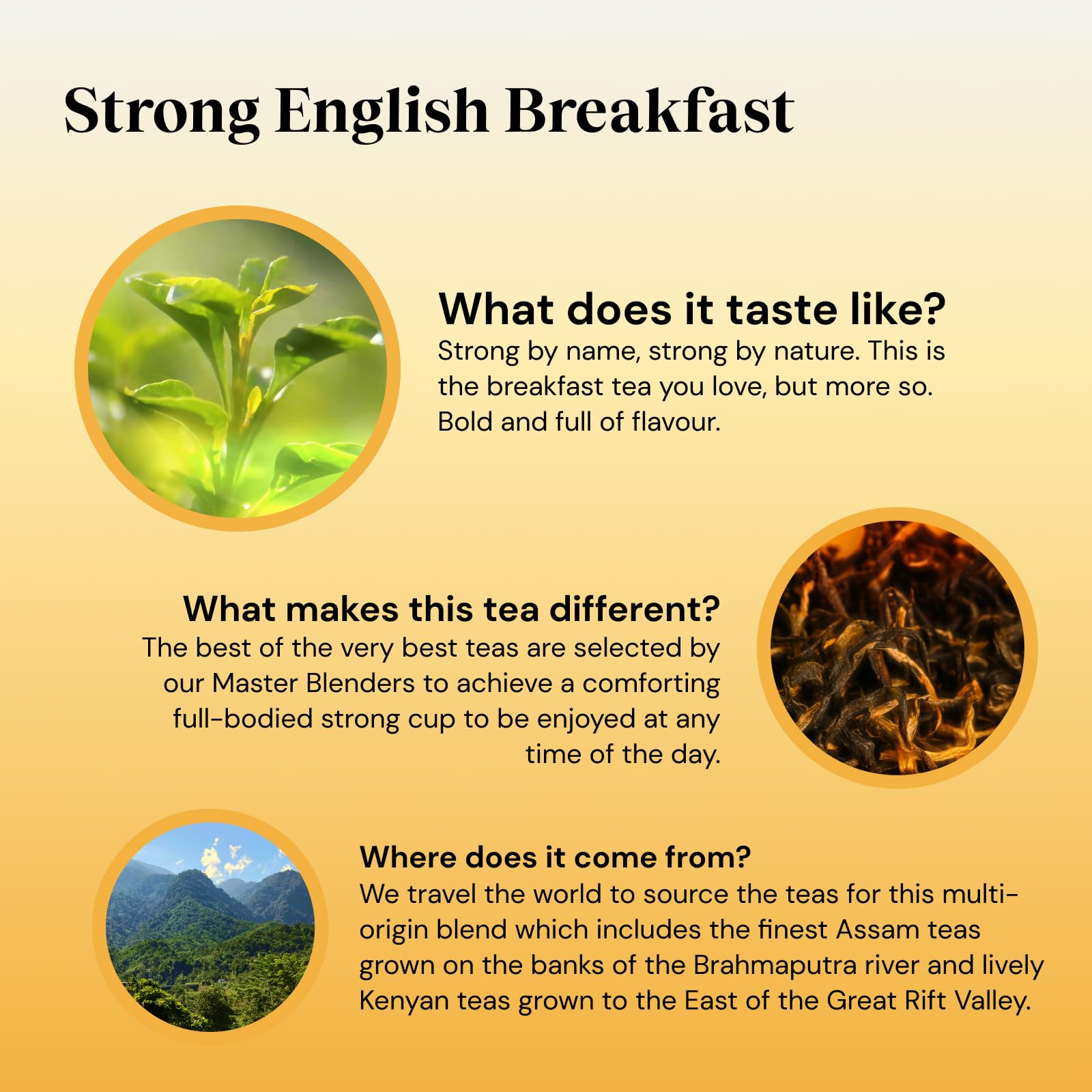 Twinings hojas de té Assam y Kenia en detalle mostrando calidad
