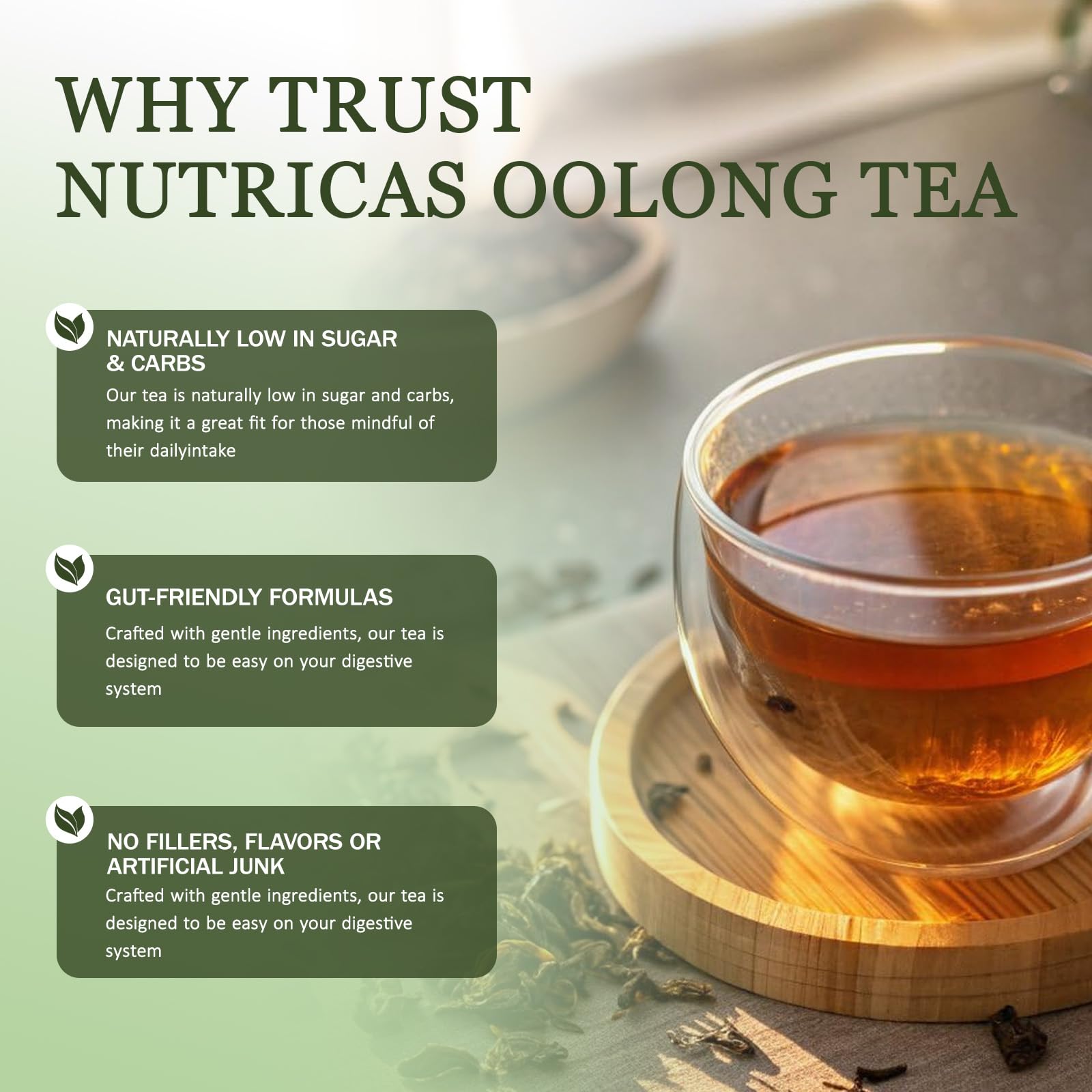 TYDOTT Nutricas hojas enteras en mano, evidencia alta calidad