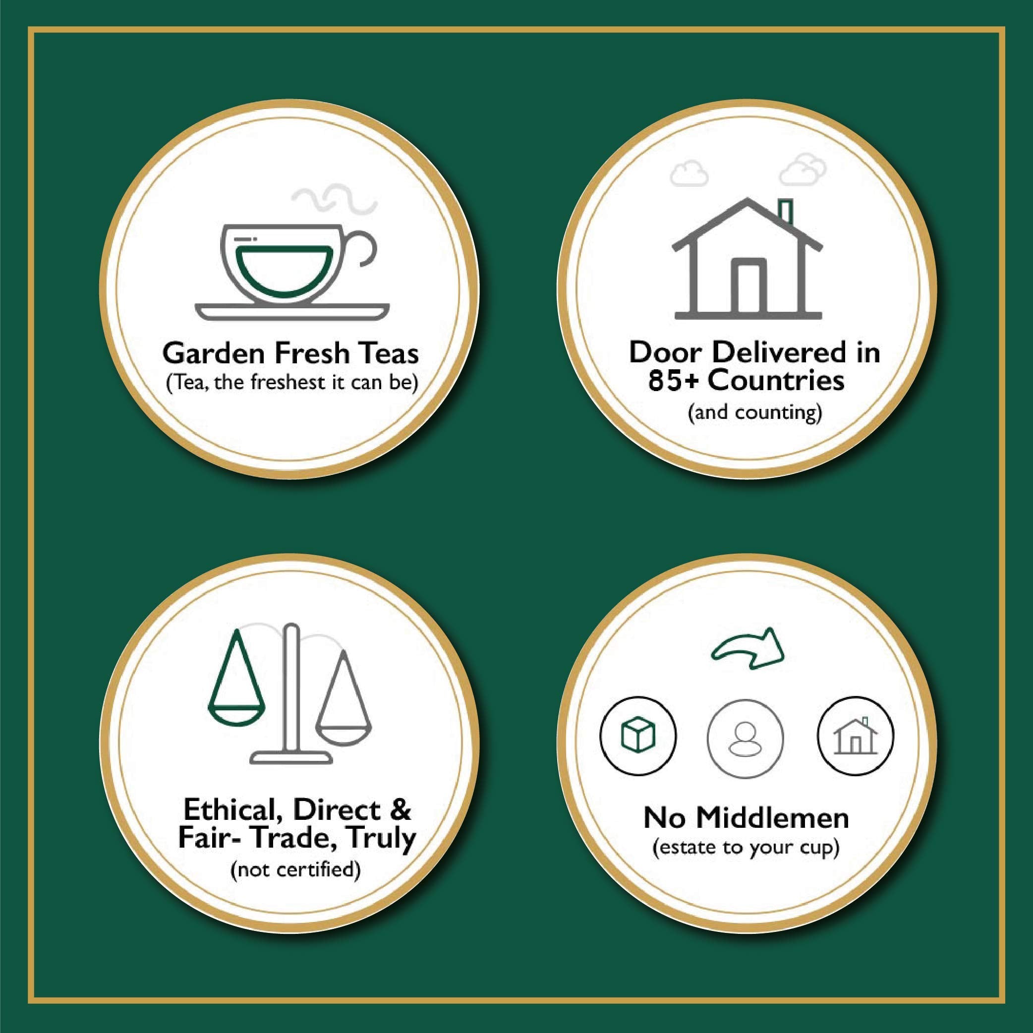 VAHDAM Assam Gold planta de té y producto, origen sostenible