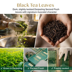VAHDAM hojas enteras Darjeeling en primer plano con aroma visible
