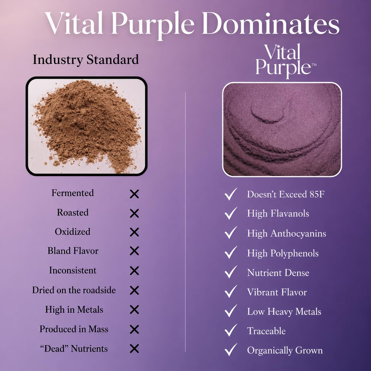 Vital Purple polvo mezclado con otros ingredientes saludables