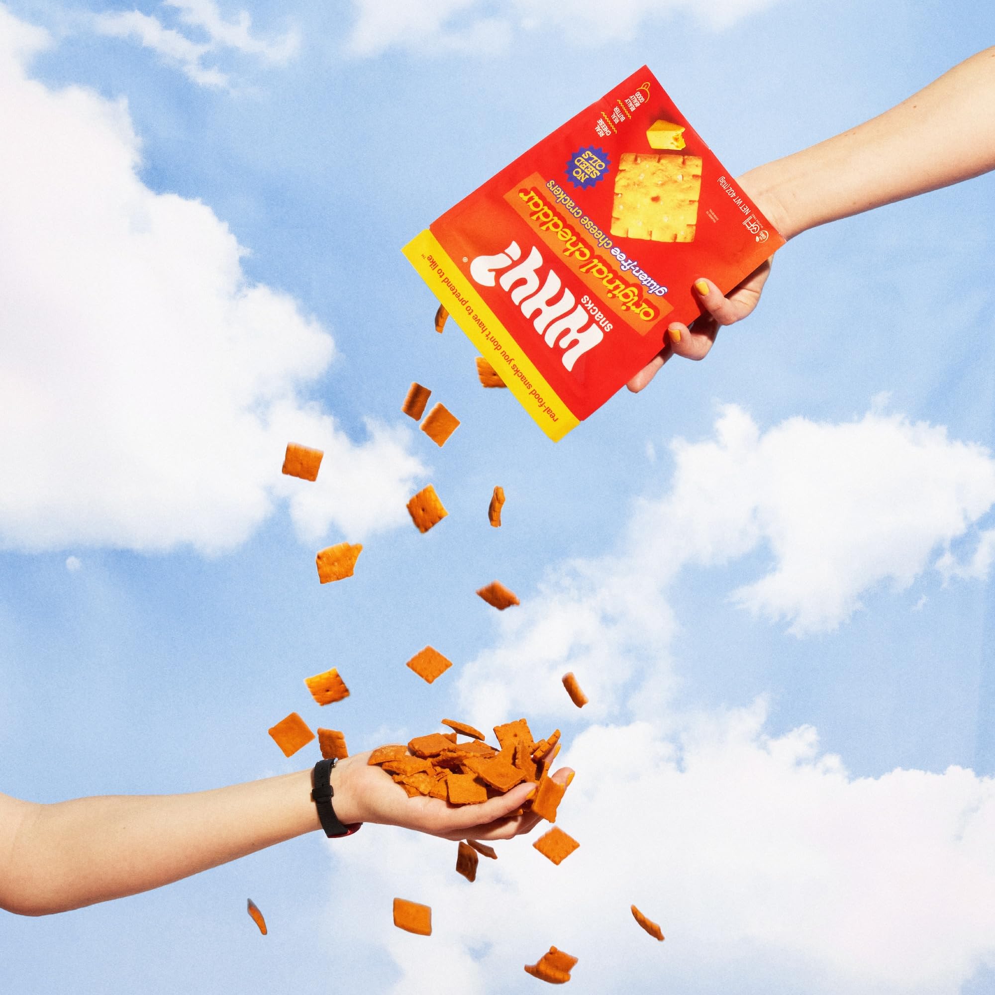 WHY? SNACKS dos bolsas de 113 g empaquetado listo para llevar