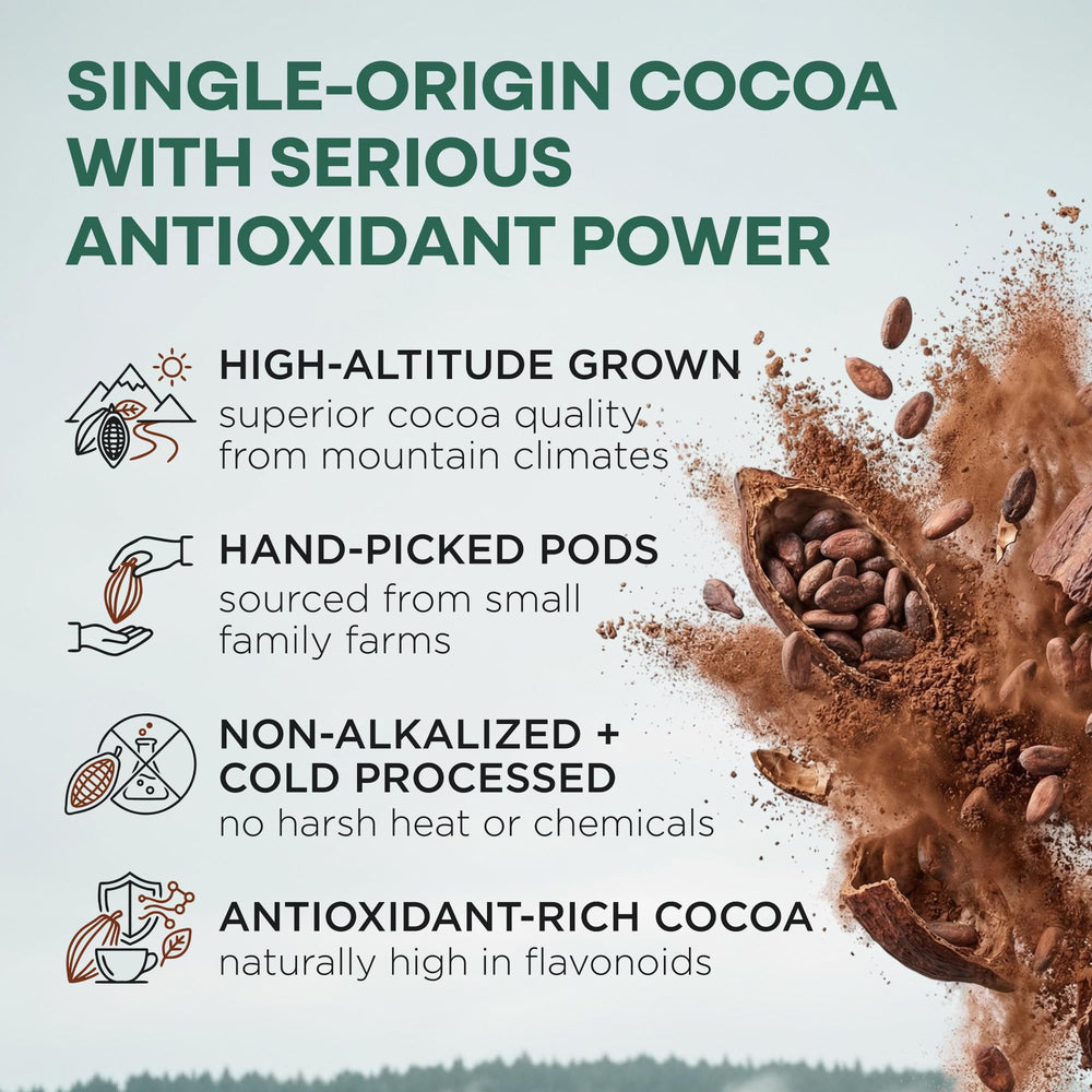 Wild Foods textura del polvo de cacao fino, aspecto natural y oscuro