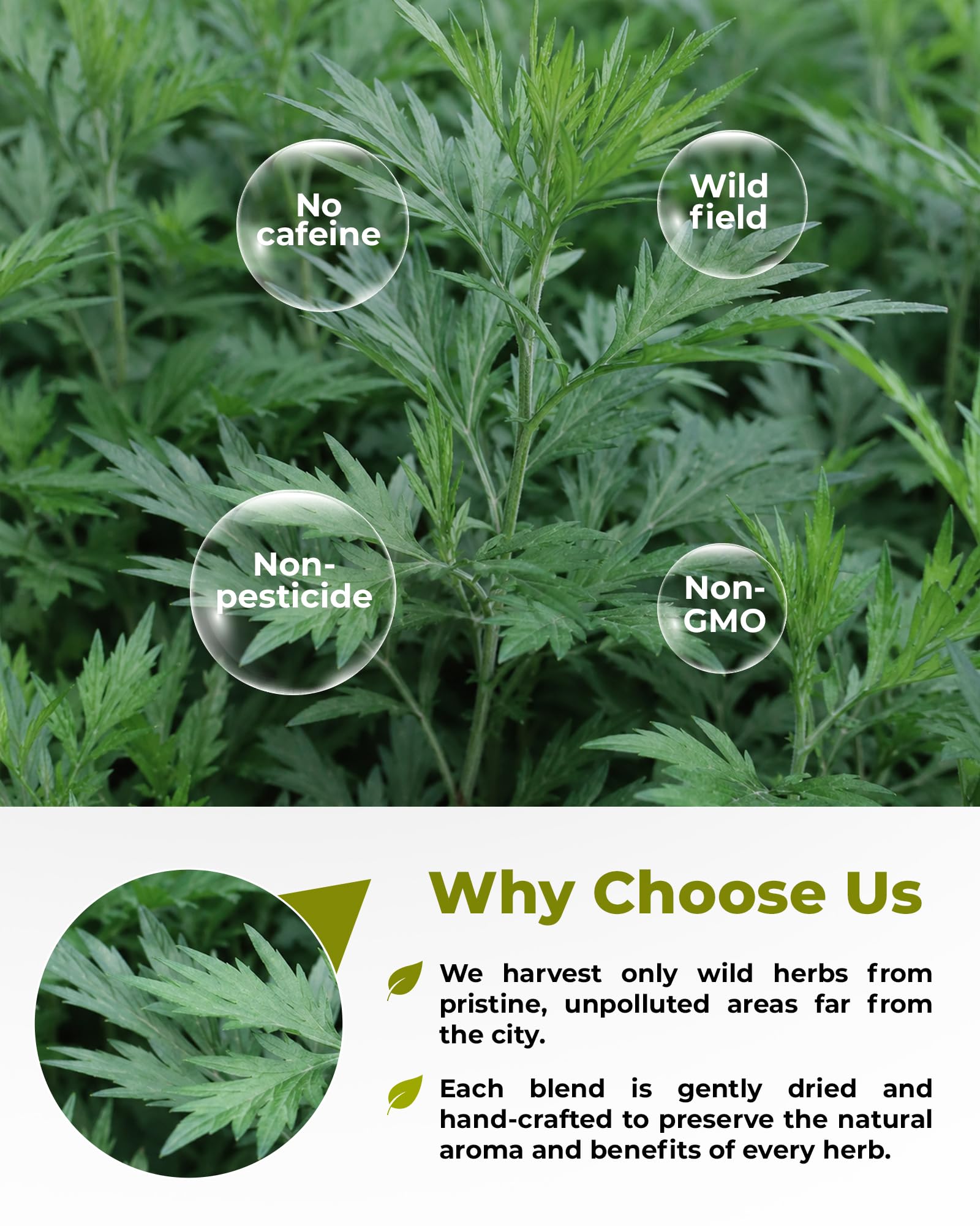 WILDFIELD HERBS paquete junto a báscula mostrando 113 g