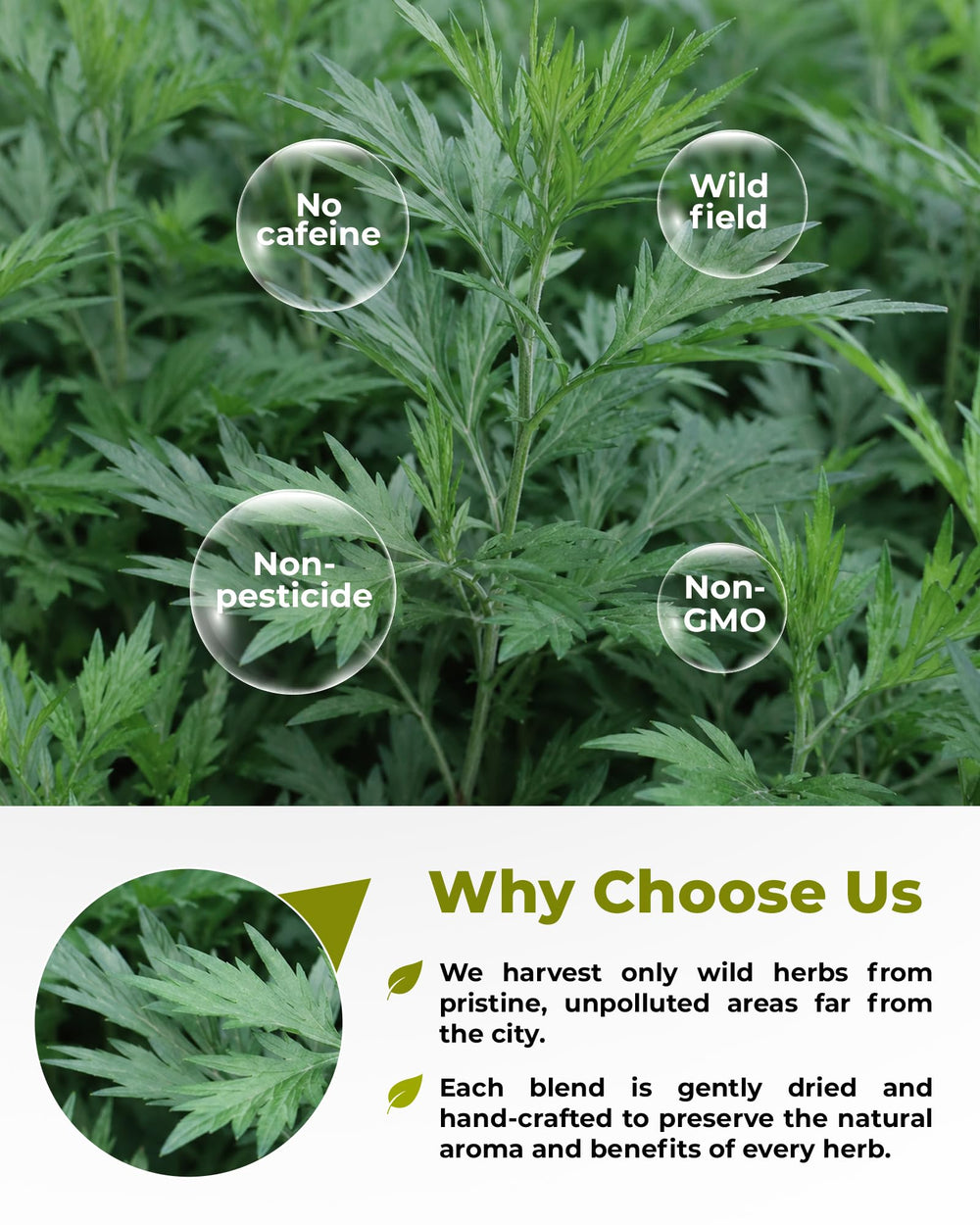 WILDFIELD HERBS paquete junto a báscula mostrando 113 g