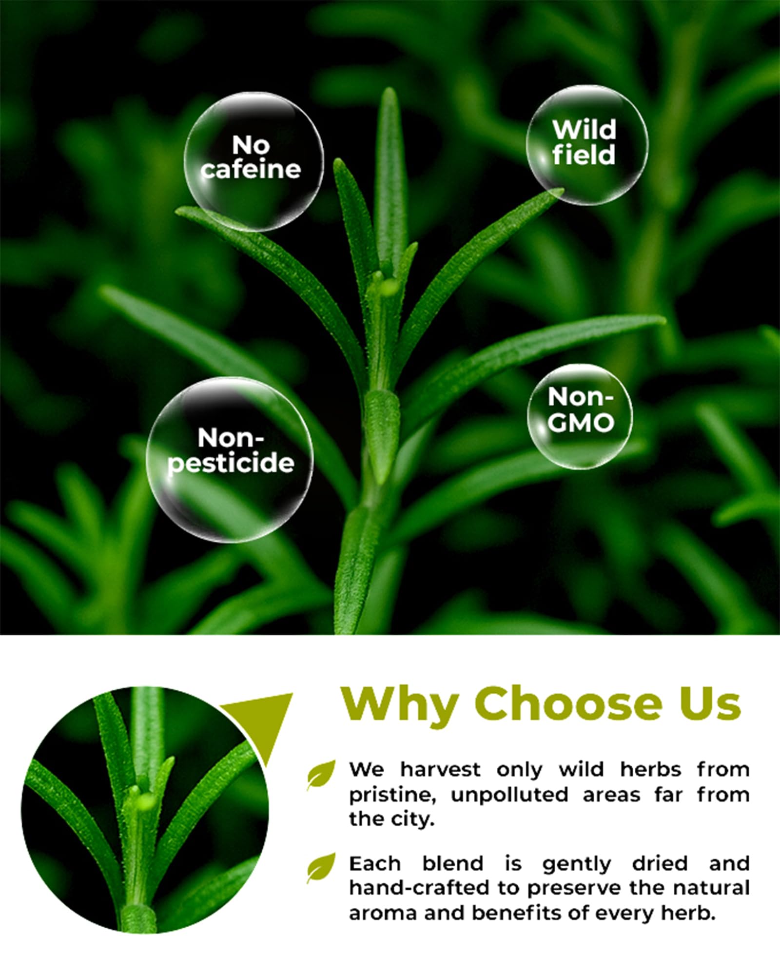WILDFIELD HERBS etiqueta con origen europeo y control de calidad visible