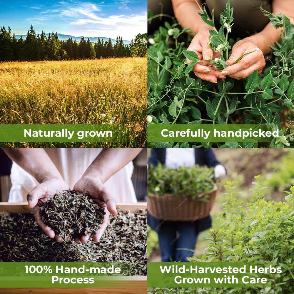 WILDFIELD HERBS lote de producción listo, control de calidad visible