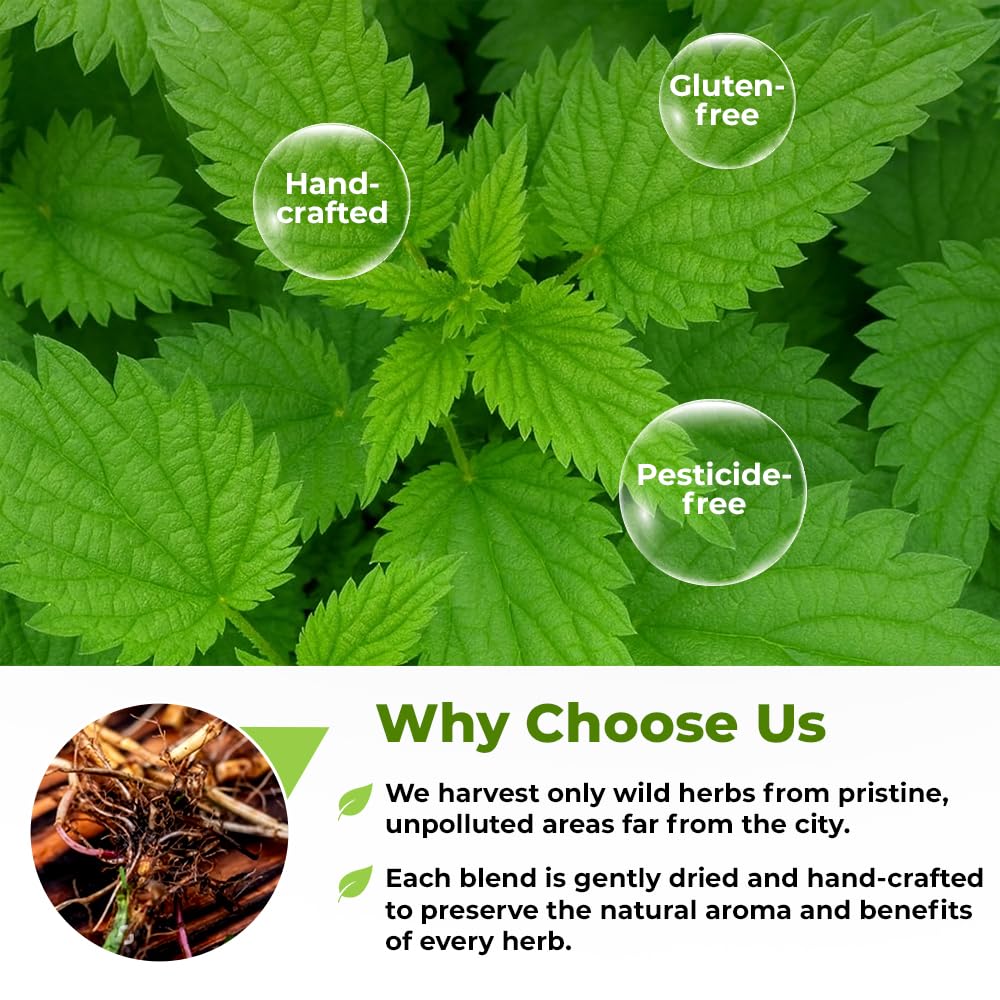 WILDFIELD HERBS estilo de vida: infusión servida en cocina acogedora