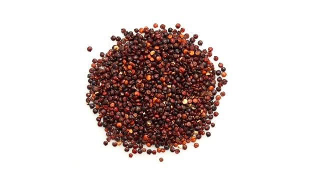 Yupik quinoa negra cocida en plato lista para servir y nutrir