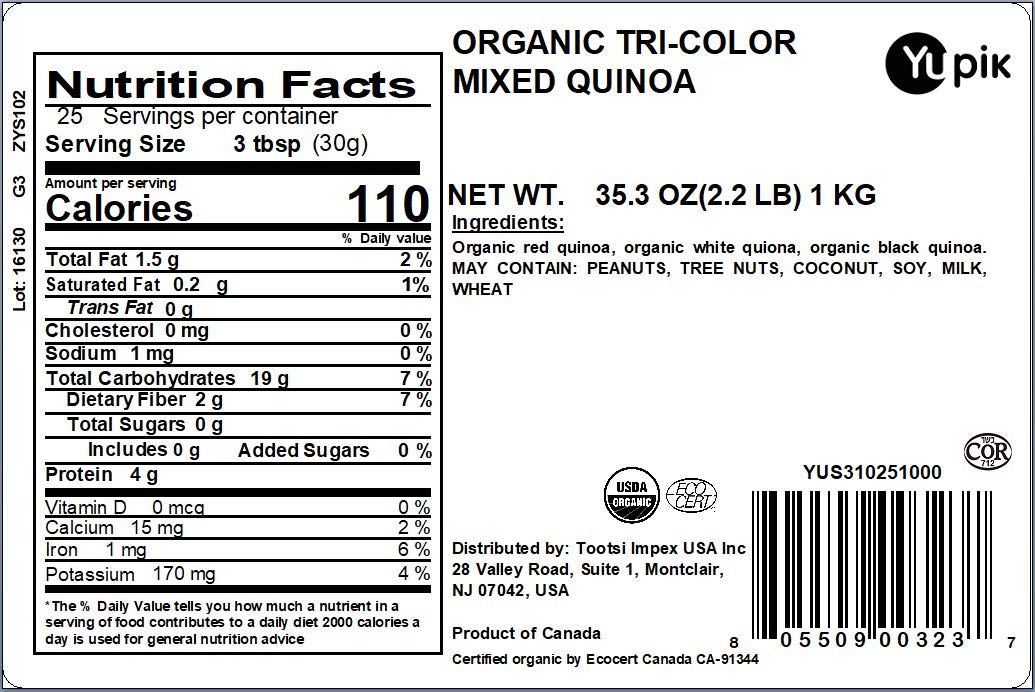 Yupik quinoa tricolor detalle de granos mezclados para textura nutritiva